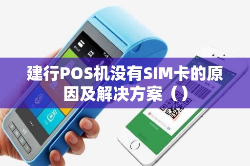 建行POS机没有SIM卡的原因及解决方案（）