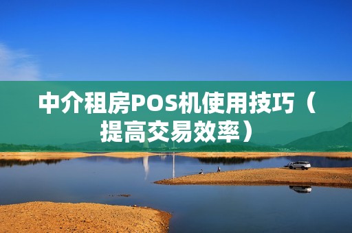 中介租房POS机使用技巧（提高交易效率）