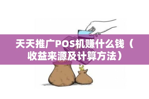 天天推广POS机赚什么钱（收益来源及计算方法）