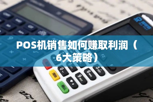 POS机销售如何赚取利润（6大策略）