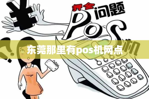 东莞那里有pos机网点