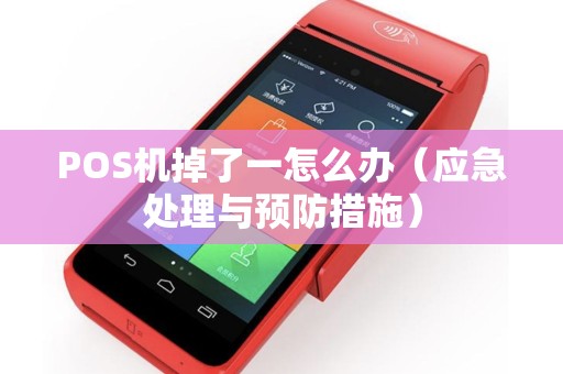 POS机掉了一怎么办（应急处理与预防措施）