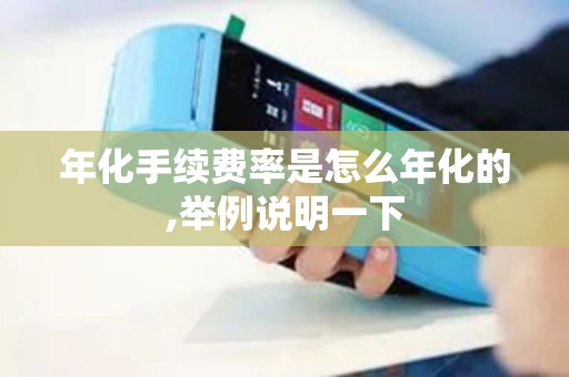 年化手续费率是怎么年化的,举例说明一下