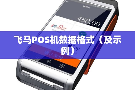 飞马POS机数据格式（及示例）