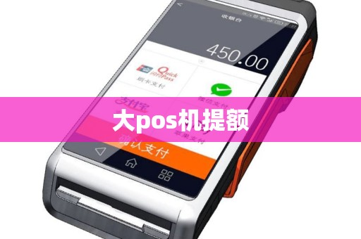 大pos机提额