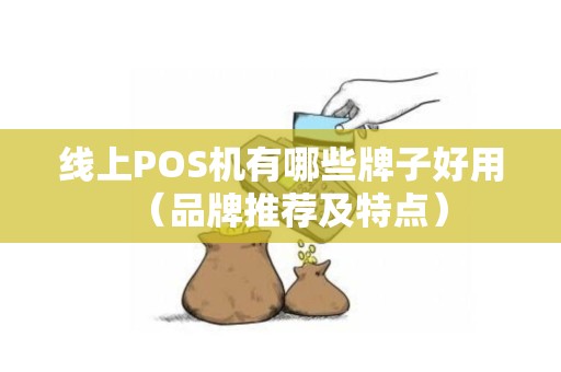 线上POS机有哪些牌子好用（品牌推荐及特点）