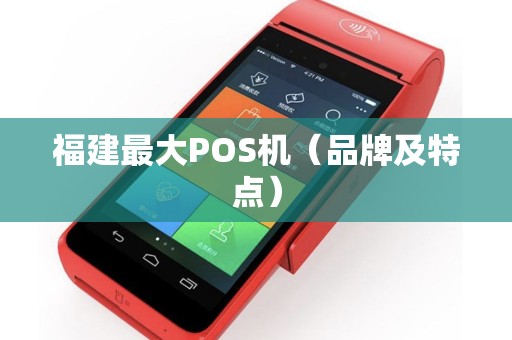 福建最大POS机（品牌及特点）