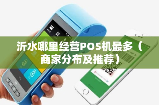 沂水哪里经营POS机最多（商家分布及推荐）