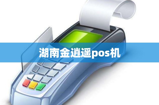 湖南金逍遥pos机