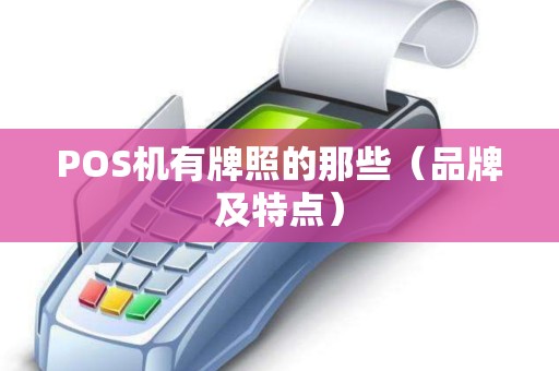 POS机有牌照的那些（品牌及特点）