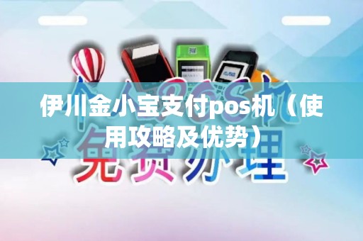 伊川金小宝支付pos机（使用攻略及优势）