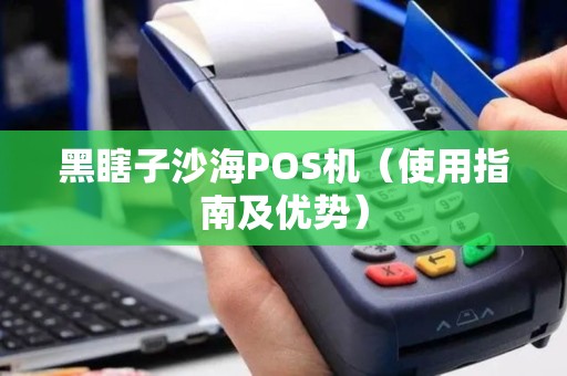 黑瞎子沙海POS机（使用指南及优势）