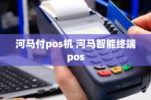 河马付pos机 河马智能终端pos