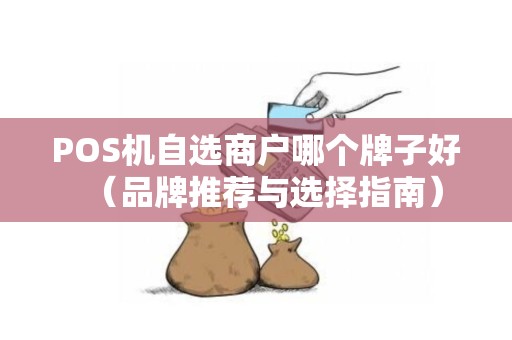 POS机自选商户哪个牌子好（品牌推荐与选择指南）