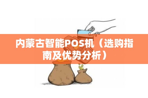 内蒙古智能POS机（选购指南及优势分析）