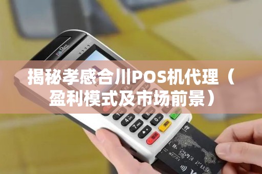 揭秘孝感合川POS机代理（盈利模式及市场前景）
