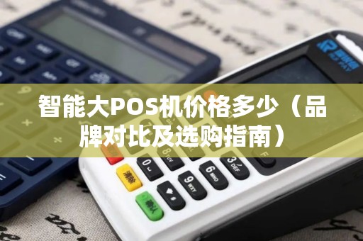 智能大POS机价格多少（品牌对比及选购指南）