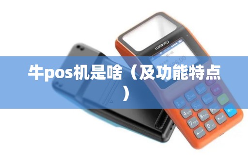 牛pos机是啥（及功能特点）