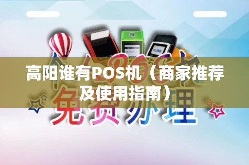 高阳谁有POS机（商家推荐及使用指南）