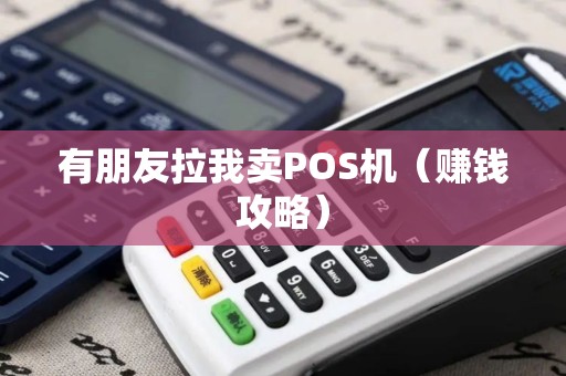 有朋友拉我卖POS机（赚钱攻略）