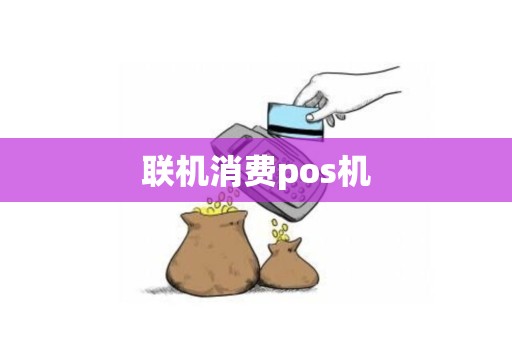 联机消费pos机