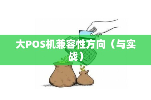 大POS机兼容性方向（与实战）