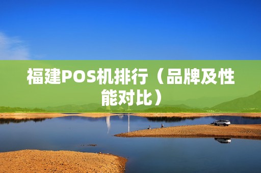 福建POS机排行（品牌及性能对比）
