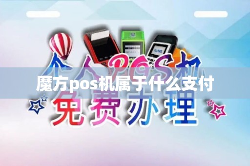 魔方pos机属于什么支付