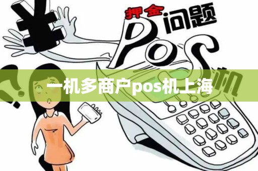 一机多商户pos机上海