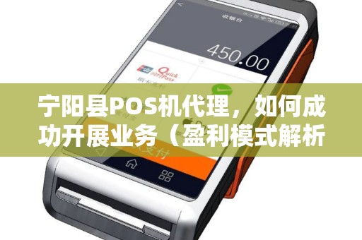 宁阳县POS机代理，如何成功开展业务（盈利模式解析）