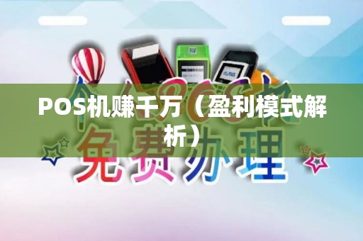 POS机赚千万（盈利模式解析）