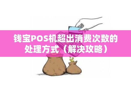钱宝POS机超出消费次数的处理方式（解决攻略）