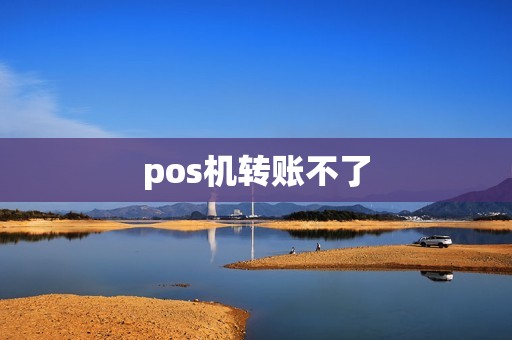 pos机转账不了