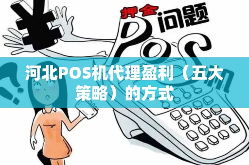 河北POS机代理盈利（五大策略）的方式