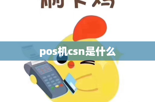 pos机csn是什么