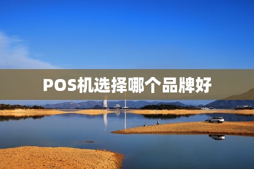 POS机选择哪个品牌好