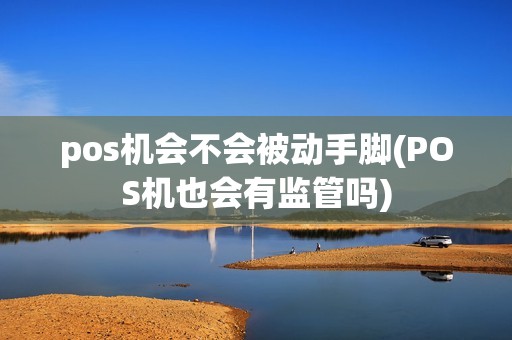 pos机会不会被动手脚(POS机也会有监管吗)
