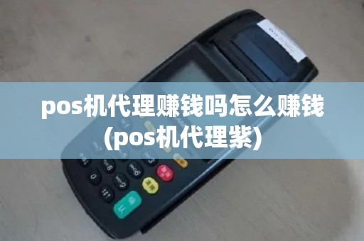 pos机代理赚钱吗怎么赚钱(pos机代理紫)