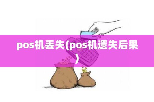 pos机丢失(pos机遗失后果)