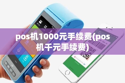 pos机1000元手续费(pos机千元手续费)