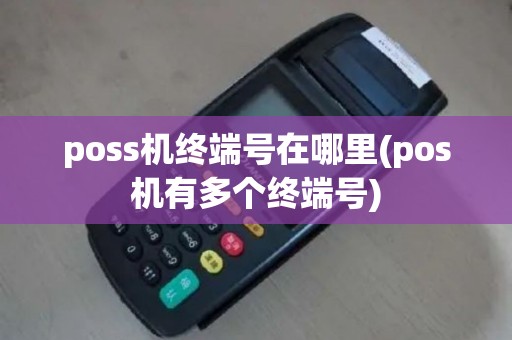 poss机终端号在哪里(pos机有多个终端号)