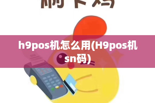h9pos机怎么用(H9pos机sn码)