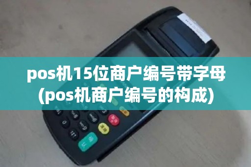 pos机15位商户编号带字母(pos机商户编号的构成)