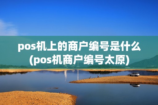 pos机上的商户编号是什么(pos机商户编号太原)