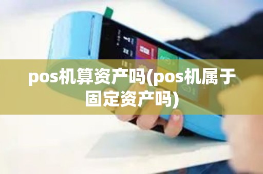 pos机算资产吗(pos机属于固定资产吗)