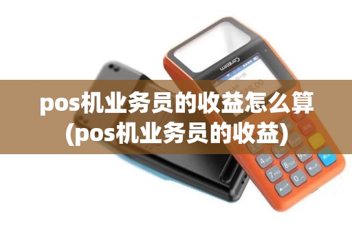 pos机业务员的收益怎么算(pos机业务员的收益)