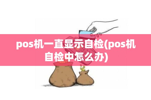 pos机一直显示自检(pos机自检中怎么办)
