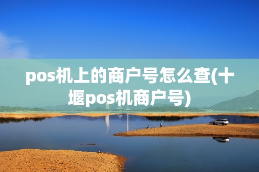 pos机上的商户号怎么查(十堰pos机商户号)