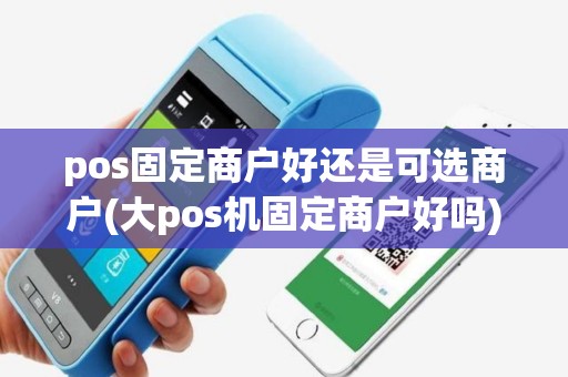 pos固定商户好还是可选商户(大pos机固定商户好吗)