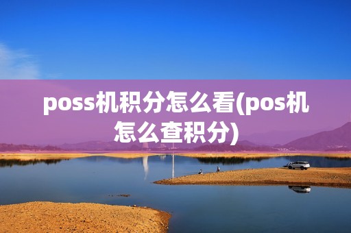 poss机积分怎么看(pos机怎么查积分)